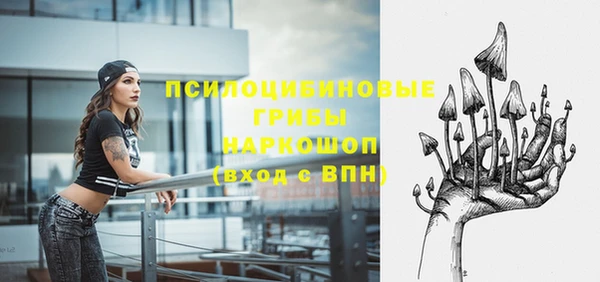 a pvp Рославль
