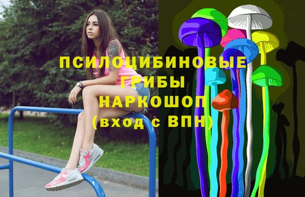 a pvp Рославль