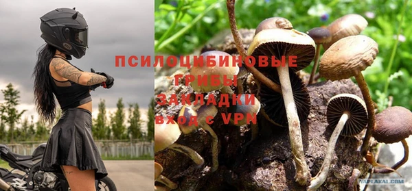 гашик Саяногорск