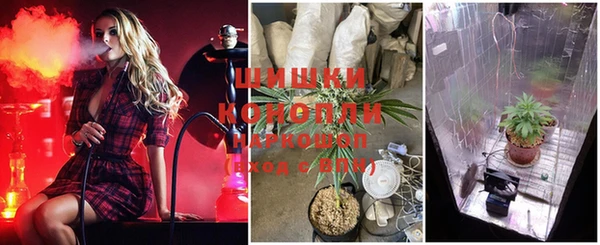 гашик Саяногорск