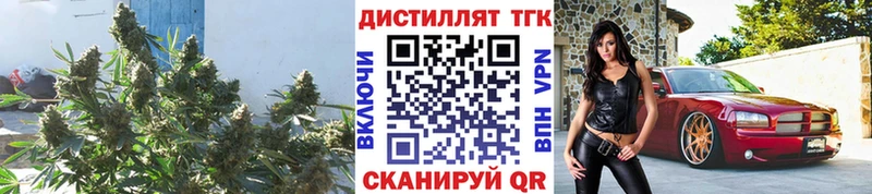 Дистиллят ТГК гашишное масло  МЕГА ССЫЛКА  Хабаровск 
