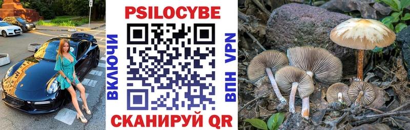 Галлюциногенные грибы Magic Shrooms  сколько стоит  Хабаровск 
