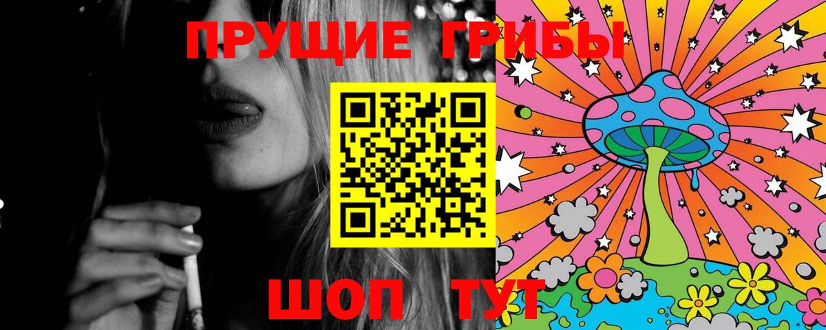 Галлюциногенные грибы прущие грибы  Вход с VPN  Россия 
