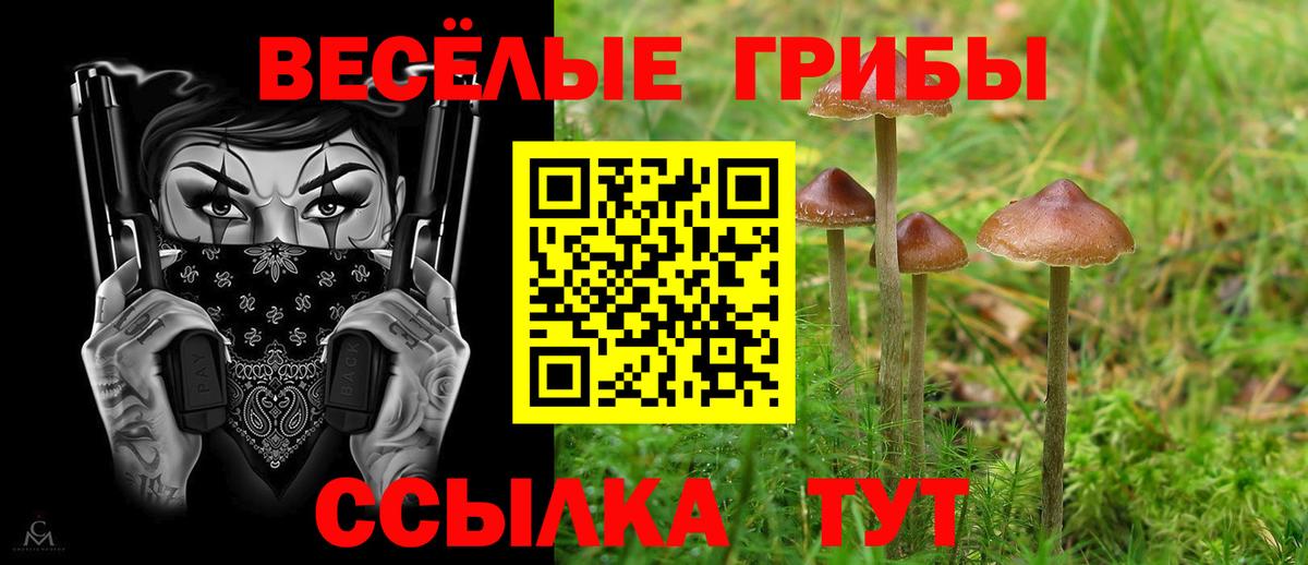 Галлюциногенные грибы Magic Shrooms Россия