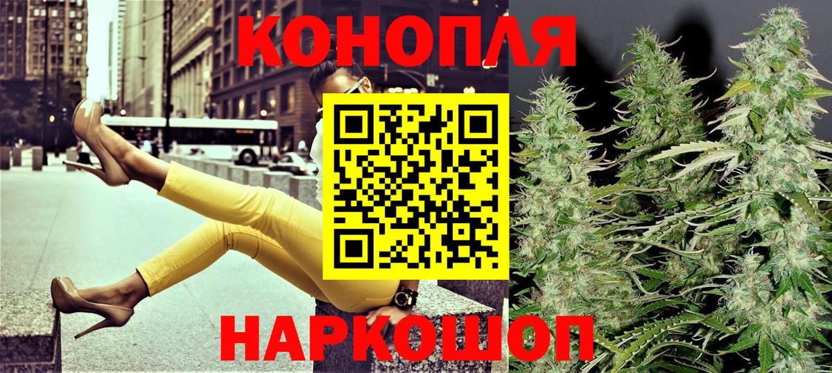 Шишки марихуана сатива Россия